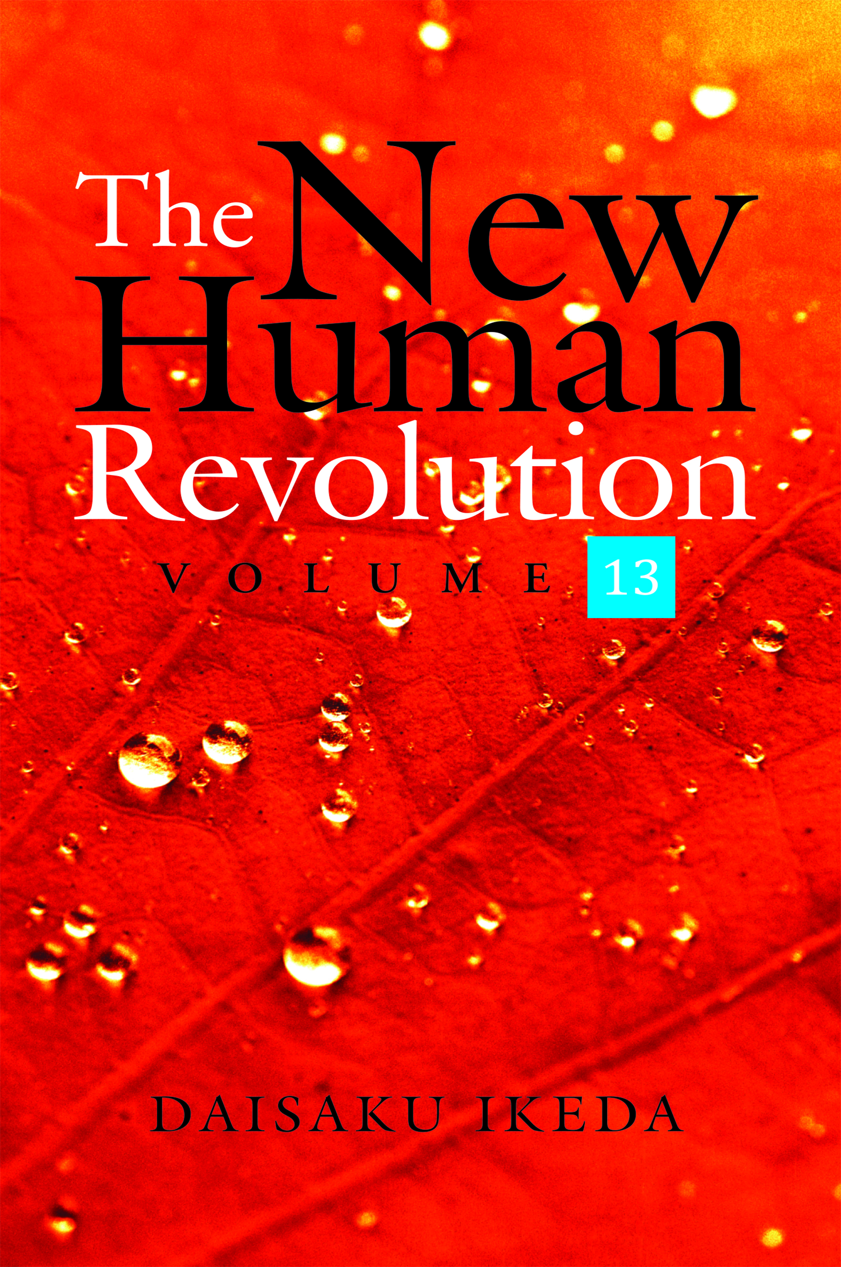 THE NEW HUMAN REVOLUTION VOL 13